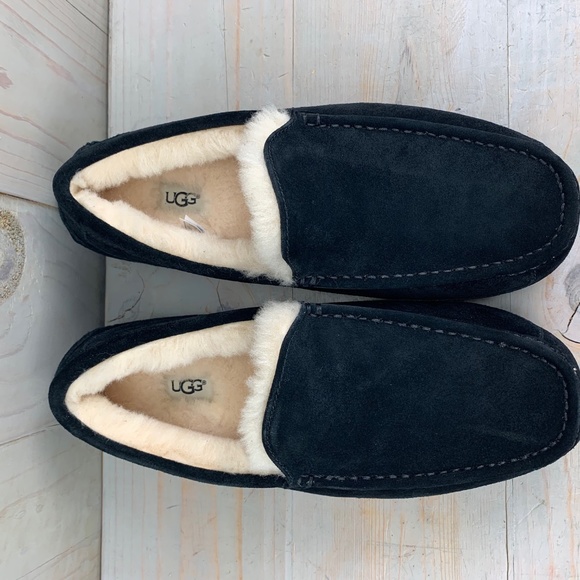 UGG Other - UGG ASCOT BLACK SUEDE  SLIPPERS MENS US 12 NIB